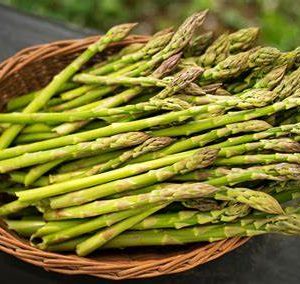 asparagi